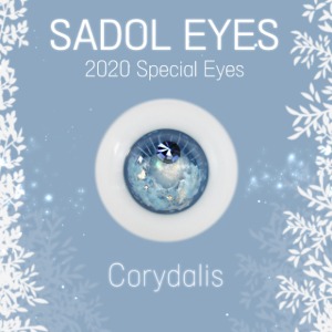 2020 Limited Eyes Corydalis