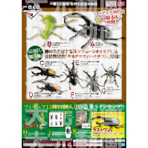 [22년 8,9월 입고] 이치방쿠지 제일복권 세계의 곤충 박물관 풀세트(80종+라스트원)
